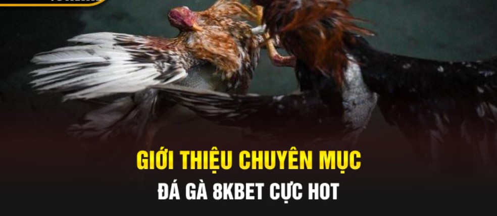 Đa dạng bảng tiền cược cho mọi mức tài chính. 