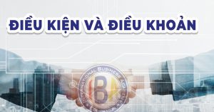 điều khoản điều kiện